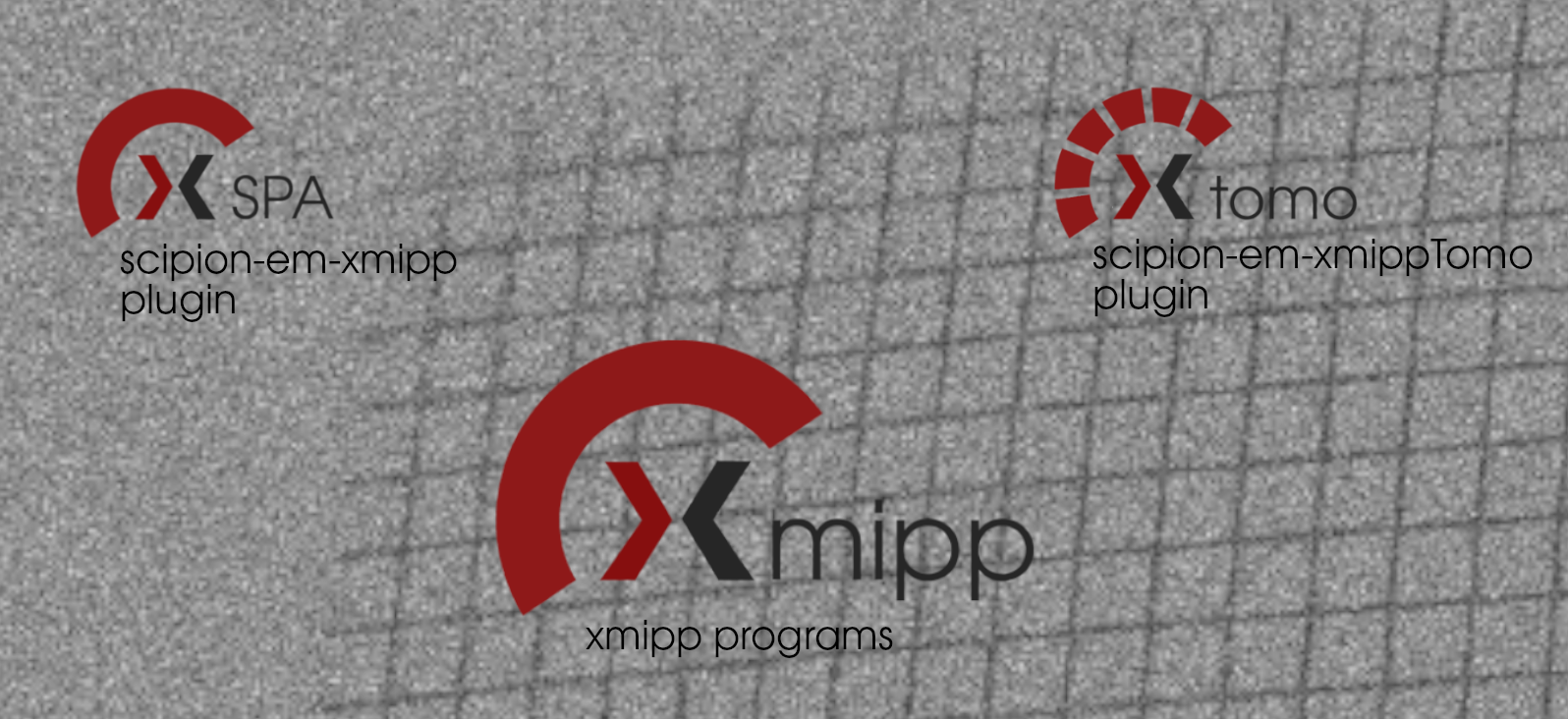 xmippComposed